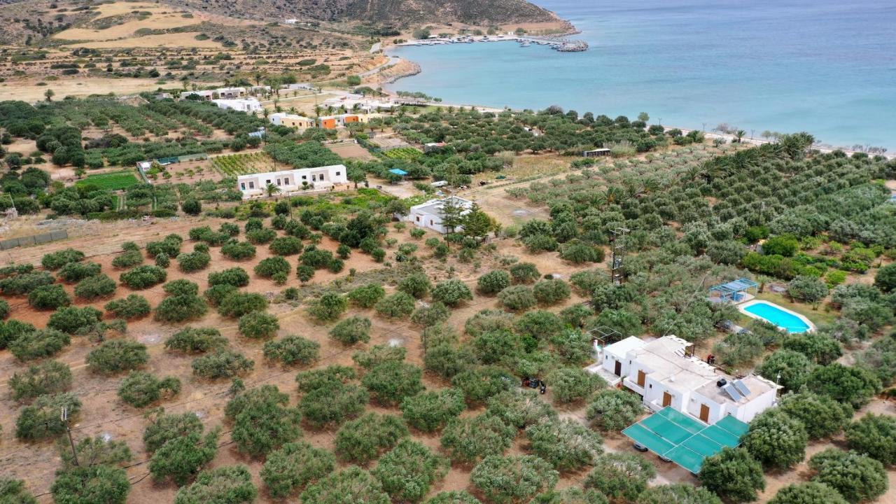 Voula'S Casa Di Mare Lägenhet Palekastro Exteriör bild